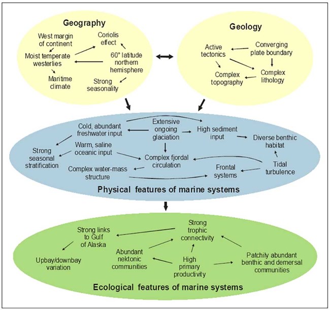SEAN Marine Systems Conceptual Model A conceptual model showing the interaction of factors influencing marine environments.