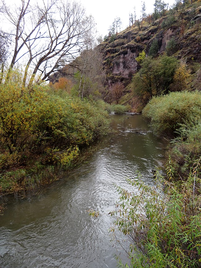 A stream runs through a riparian area with cliffs at right.