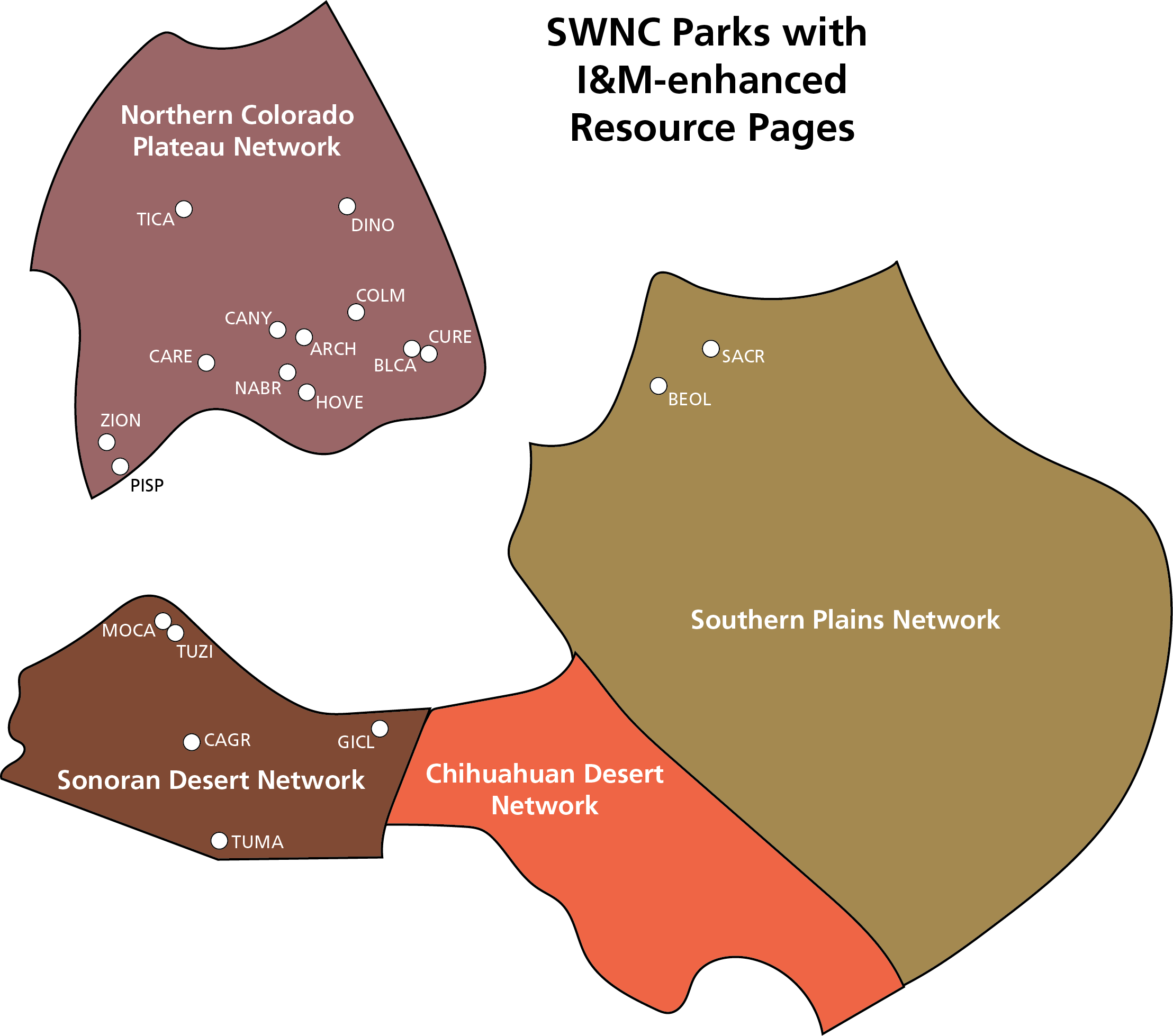 Color fields in the shape of three I&M networks