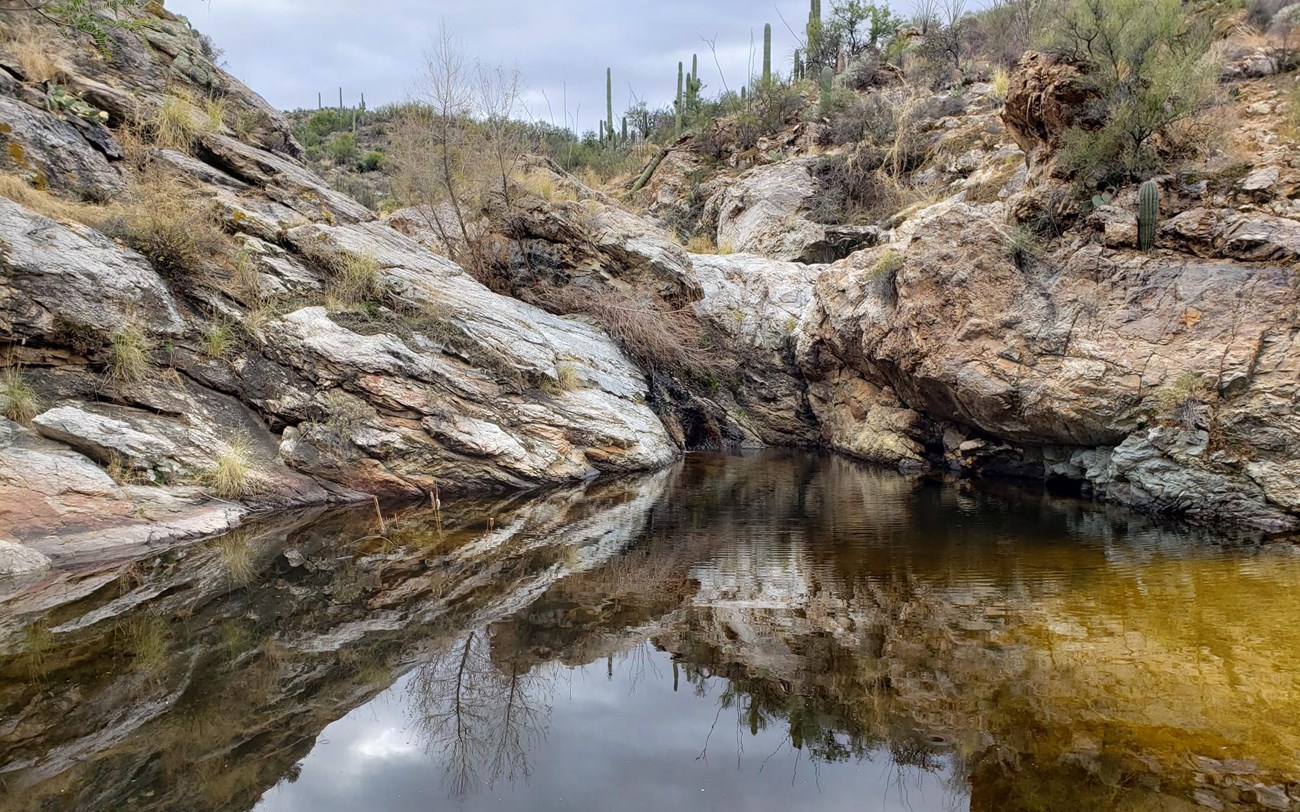 Large bedrock pool reflecting rock and cacti