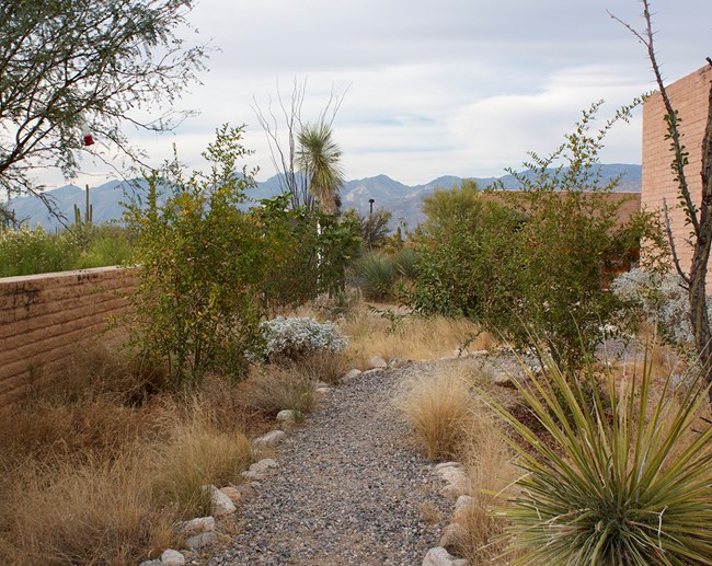 Trail on DRLC grounds