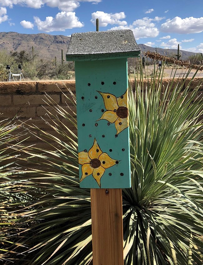 Small box, brightly painted, with holes drilled in front