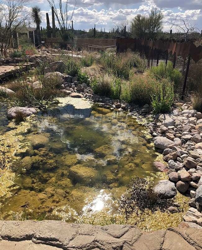 Flowing stream built into environment