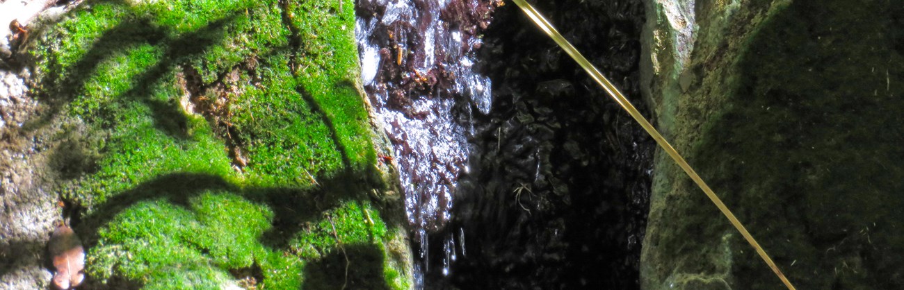 Green moss grows next to water flowing down a rock wall