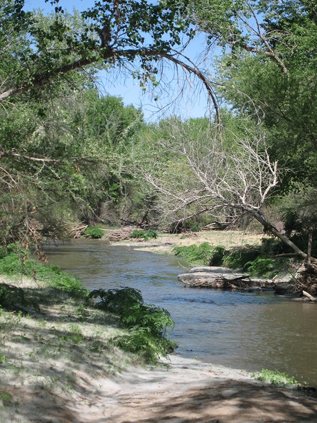 Santa Cruz River