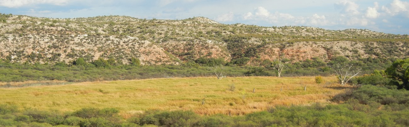 Tavasci Marsh, Tuzigoot National Monument Tavasci Marsh, Tuzigoot National Monument
