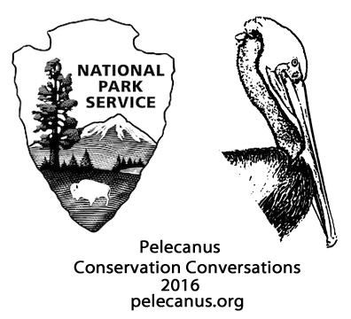 Drawing of Pelican head and NPS shield