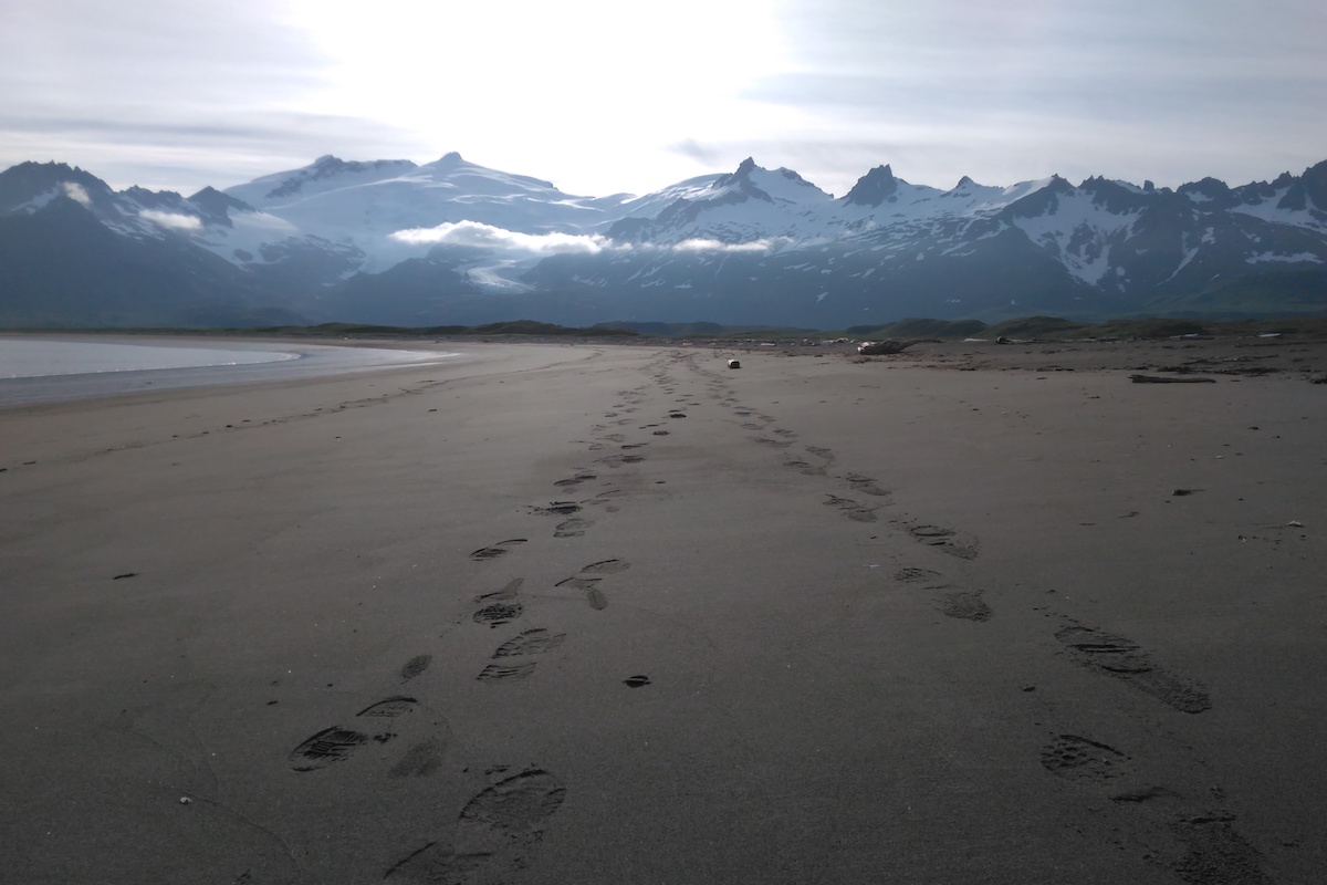 Footprints lead down a beach towards the sun
