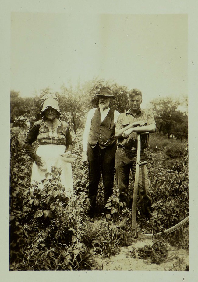 Historic photograph of an elderly couple and young man holding a sickle standing in a vegetable/fruit garden