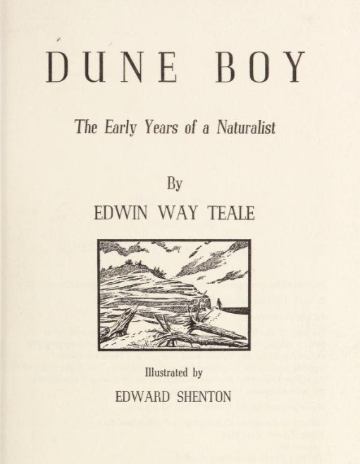 Cover page of the book "Dune Boy," featuring an illustration of a boy next to a sand dune.
