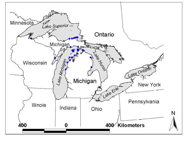 Winter Great Lakes Piping Plover location