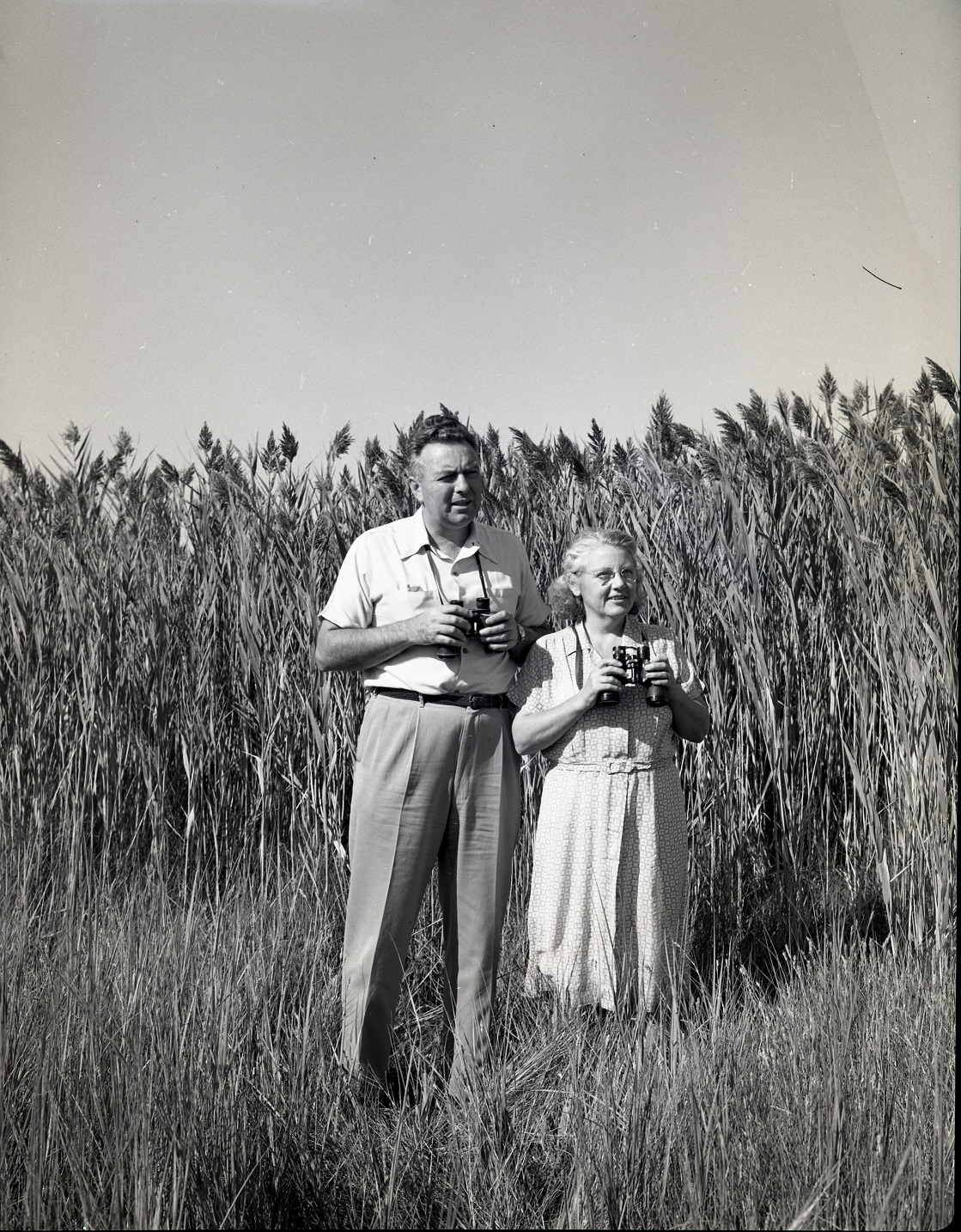 Man and woman stand in dress clothes and a summer dress; each holding binoculars and looking out into the distance with a wall of phragmites behind them