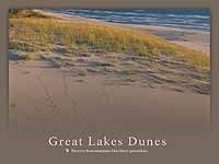 Thumbnail image of poster of sand dune with some grass, Lake in background