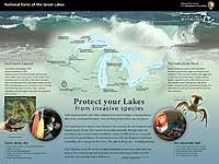 Poster with image inserts, map of Great Lakes with parks locations and description of 2 invasive species