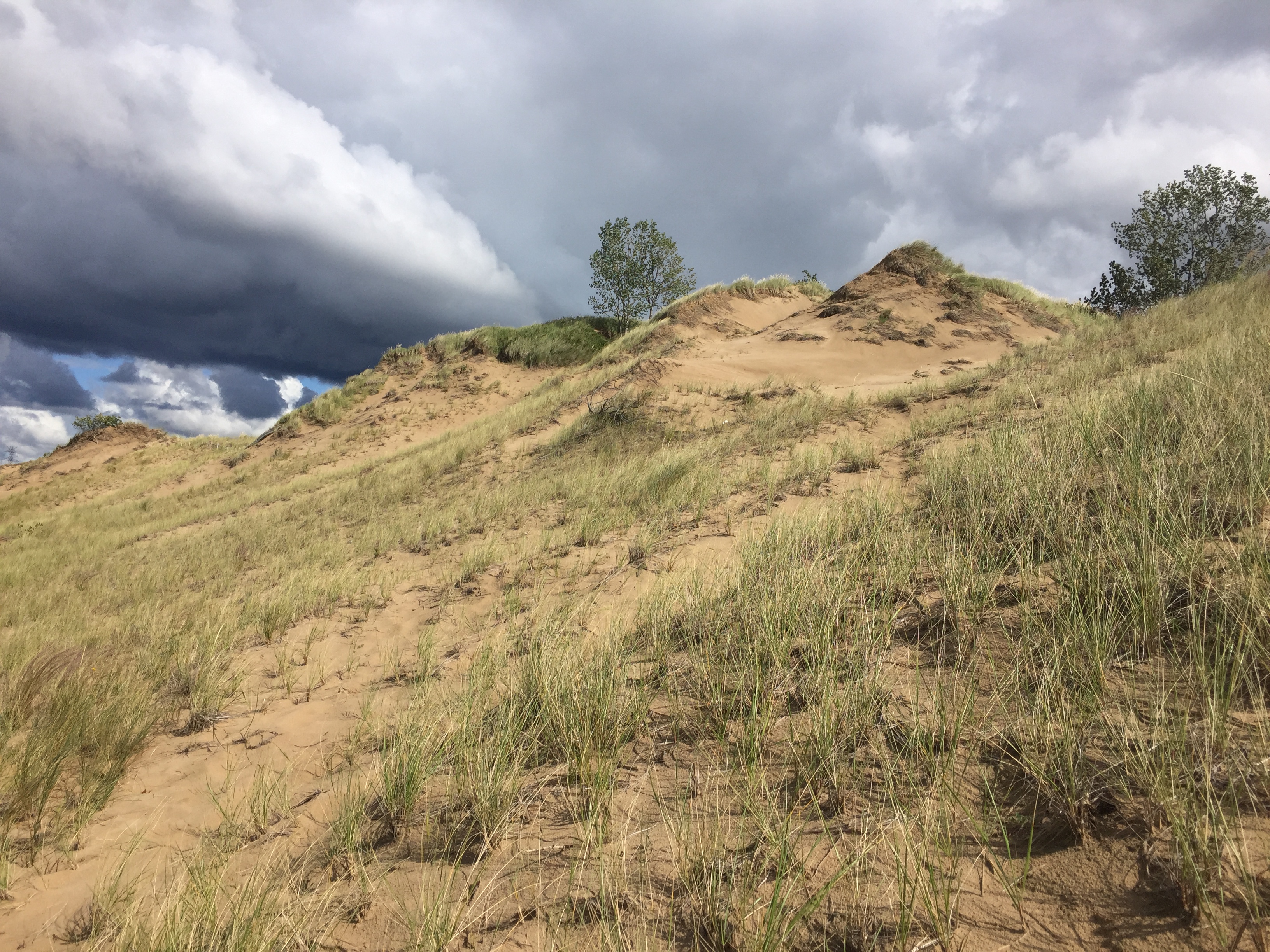 Mount Baldy Exploration - Indiana Dunes National Park (U.S. National