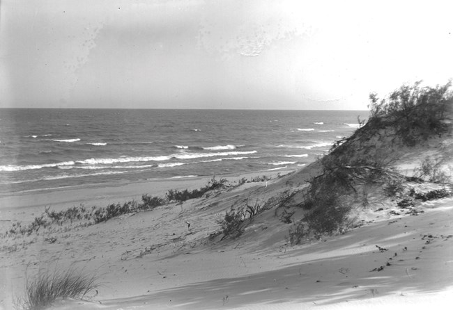 Historic black and white coastal scene of Lake Michigan with a sandy dune with sparse vegetation in the foreground.