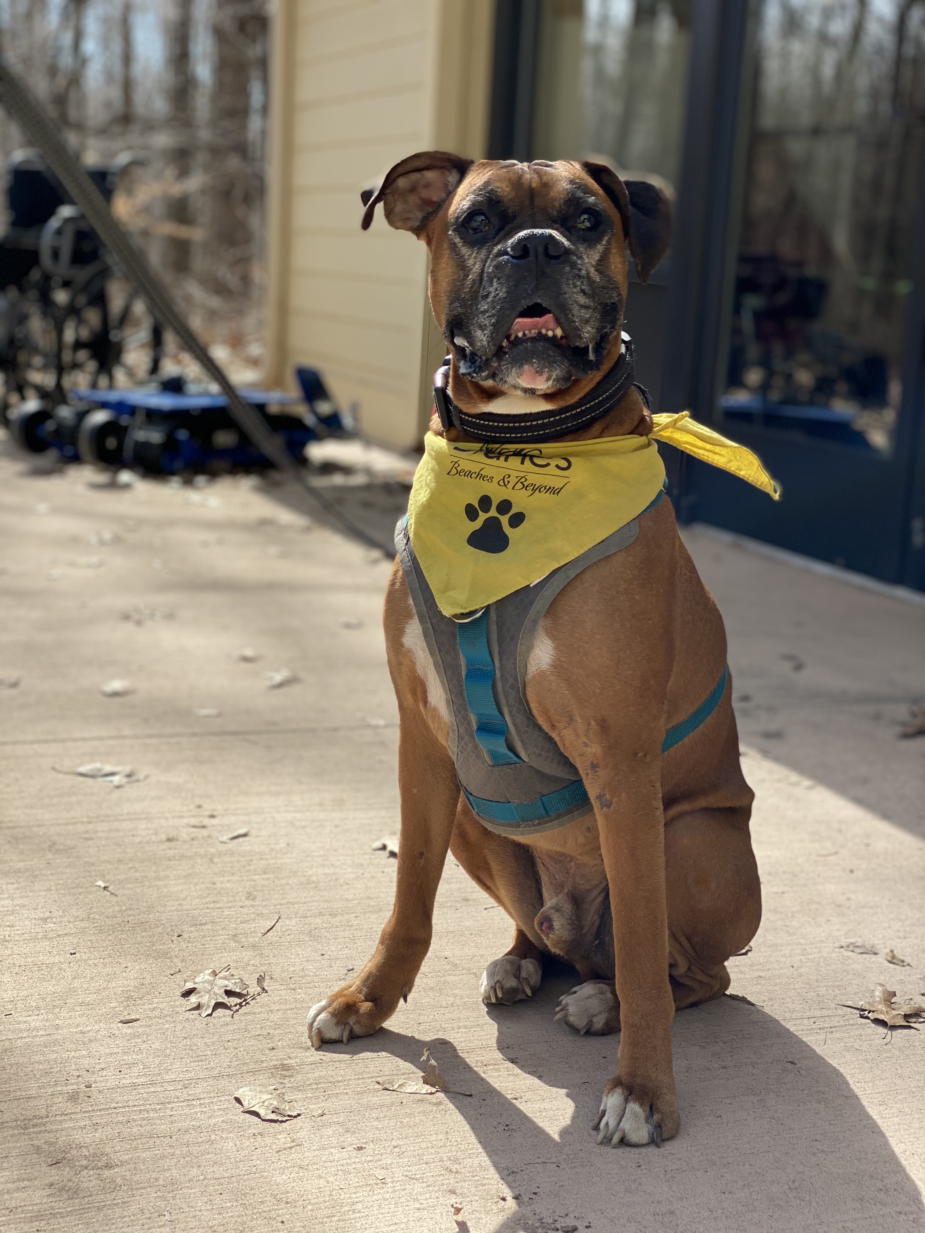 SLIDE SHOW: Miller Park goes to the dogs for Bark at the Park