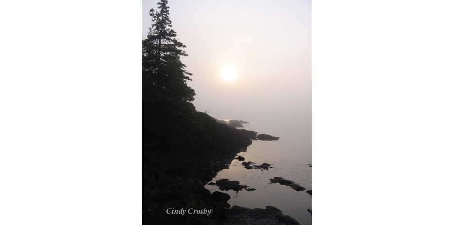 A photograph shows a rocky shoreline on the left with a large tree. On the right is a lake shoreline with the sun trying to shine through heavy fog
