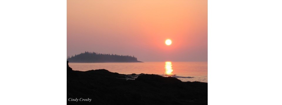 A photograph at dawn shows a pink sky with a rising sun. Flat, rocky land is in the foreground with a rocky island in the background