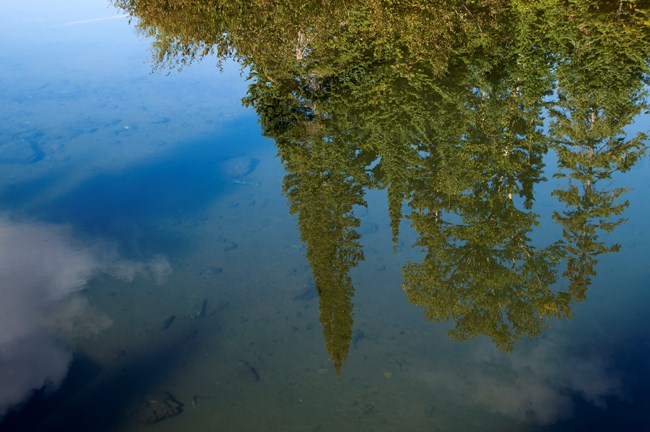 lt= Pine trees reflect off a deep blue lake.