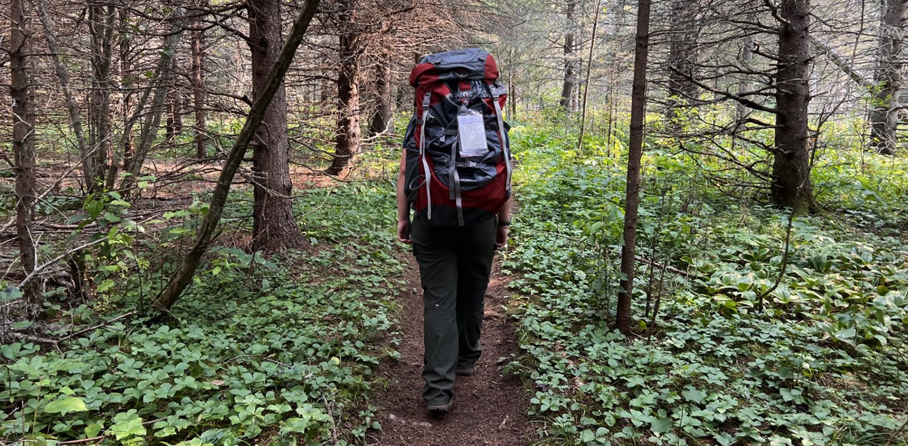 View from behind of a hiker walking down a trail carrying a large red backpack.