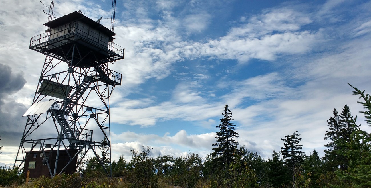 A tall metal building on stilts surrounded by forest.
