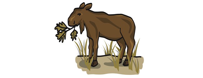 A cartoon of a moose eating a leaf.