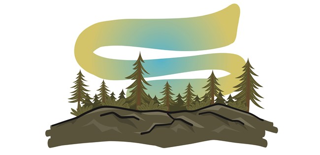 A cartoon of northern lights over a forested horizon.
