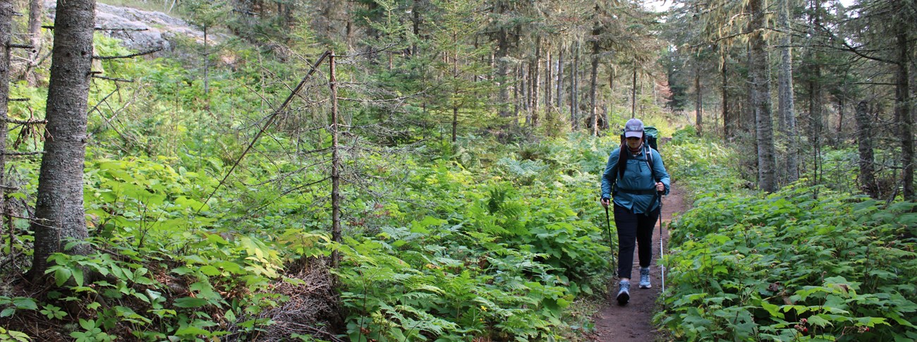 A person using hiking poles and wearing a large backpack walks on a forested trail.