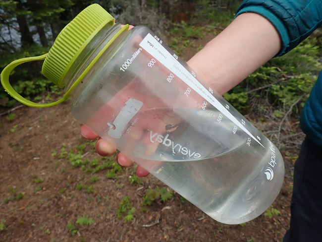 Close up of a hand holding a water bottle in the woods.