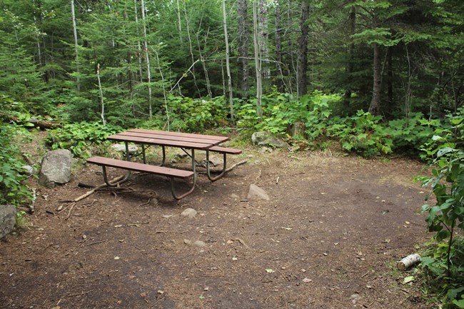 A campsite with a picnic table in the woods.