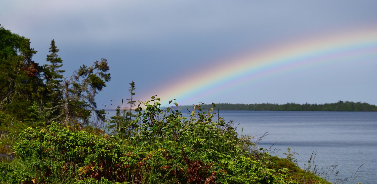 View of a rainbow over a lake from shore.
