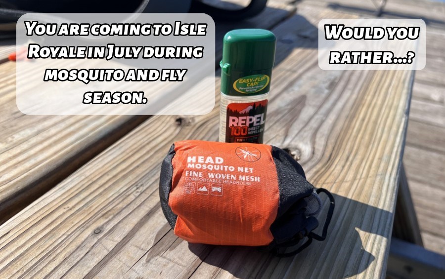 Bug spray and a bug net on a picnic bench. Two text boxes reading, "You are coming to Isle Royale in July during mosquito and fly season. Would you rather...?"