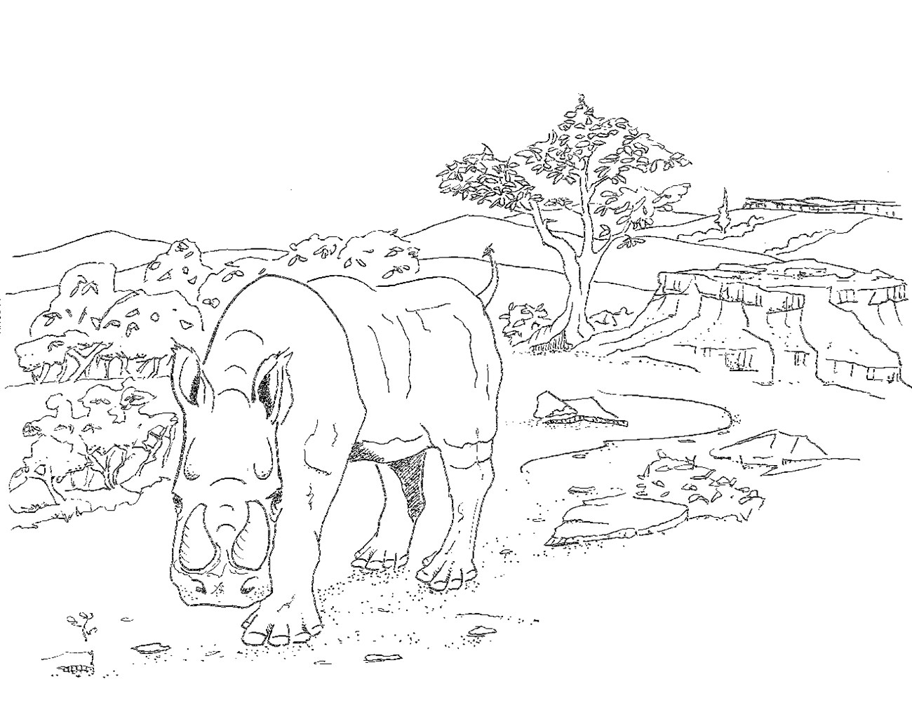 a rhinoceros with two horns walks through a Savannah-like landscape