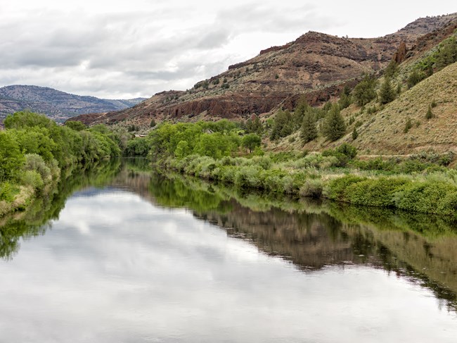 A river reflecting the gray clouds above and the green trees and shrubs than line the riverbank.