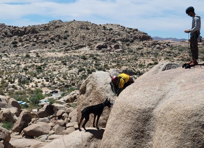 A dog and two people in search and rescue helmets and gear stand on top of a tall boulder pile.