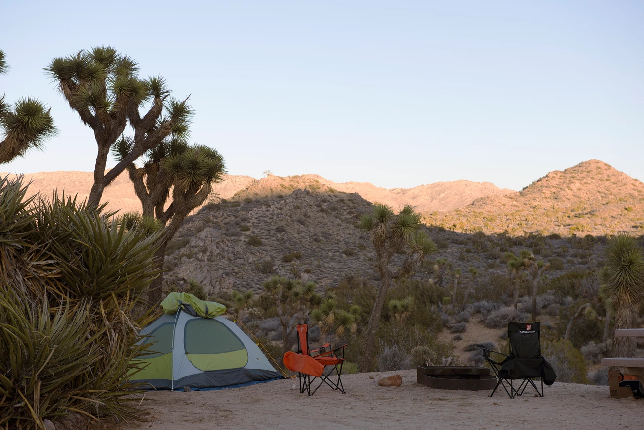 Black Rock campground site Color photo of a tent campsite set up at dusk with a Joshua tree overhead. NPS / Hannah Schwalbe