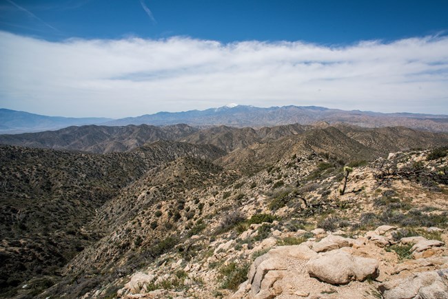 A landscape view over green vegetated desert mountains