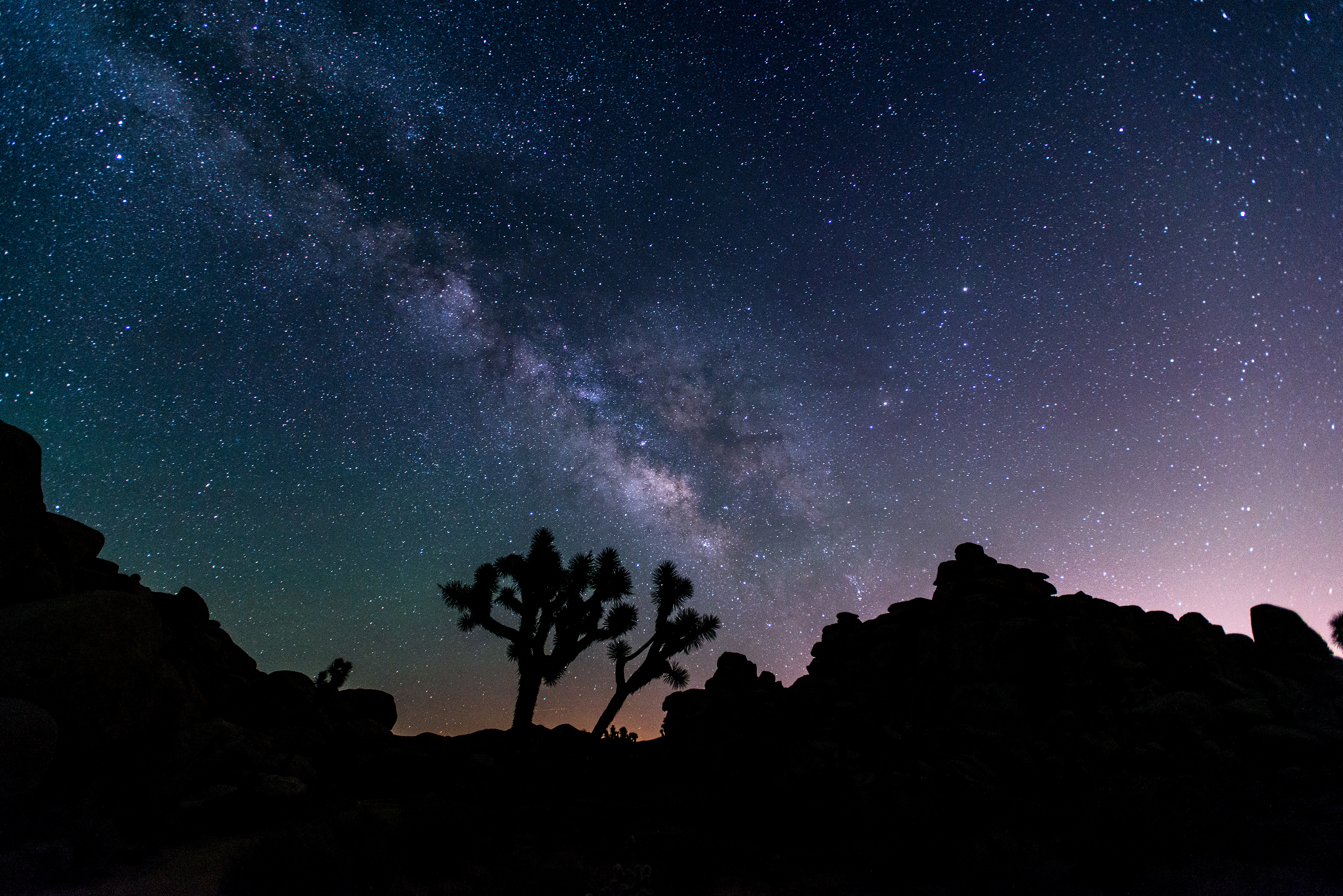 Night Sky Festival Joshua Tree National Park (U.S. National Park Service)