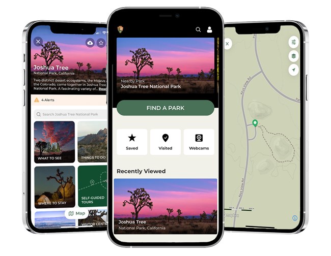 3 smartphone screens displaying different elements of the park app for Joshua Tree National Park.