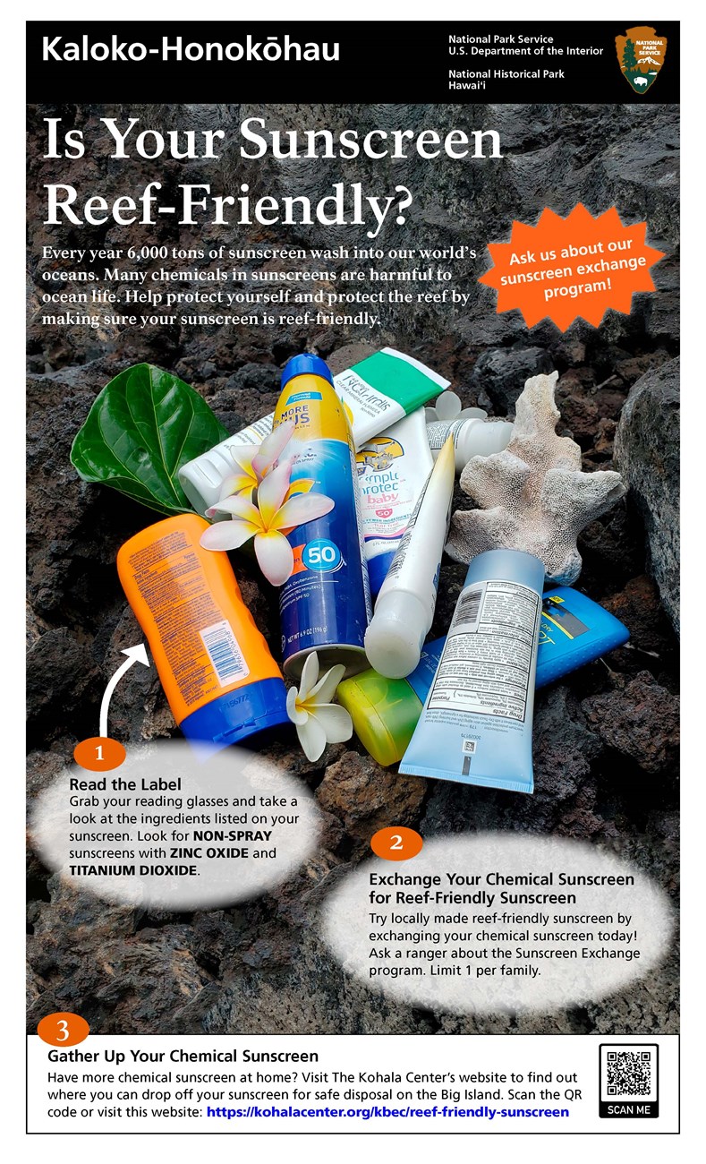 Hawaii Reef-Safe Sunscreens: How to UV-Protect Yourself - The Hawaii  Vacation Guide