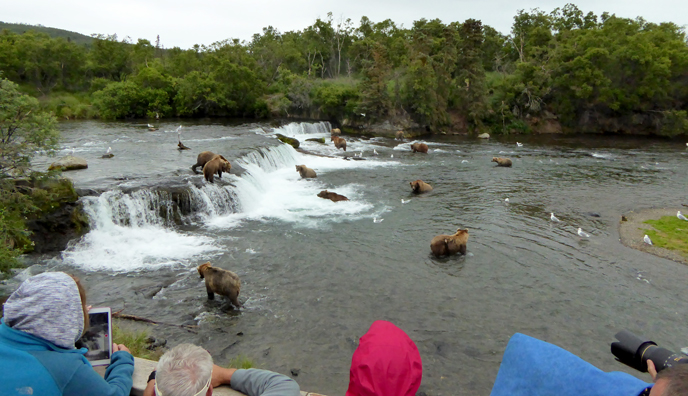 People watch bears at Brooks Falls
