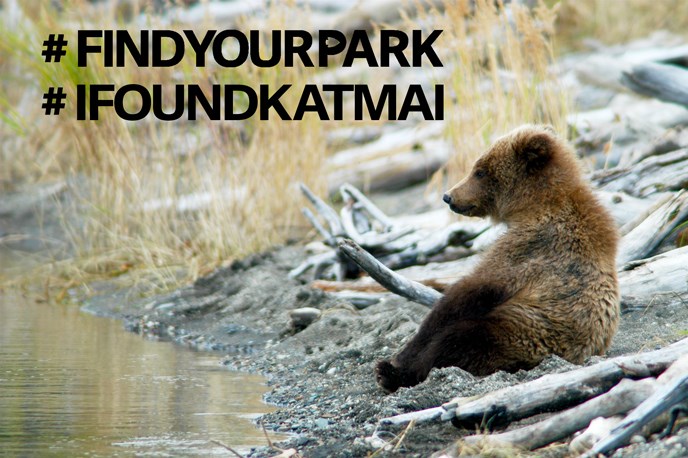 Hashtag Find Your Park, Hashtag I Found Katmai, bear cub sitting upright