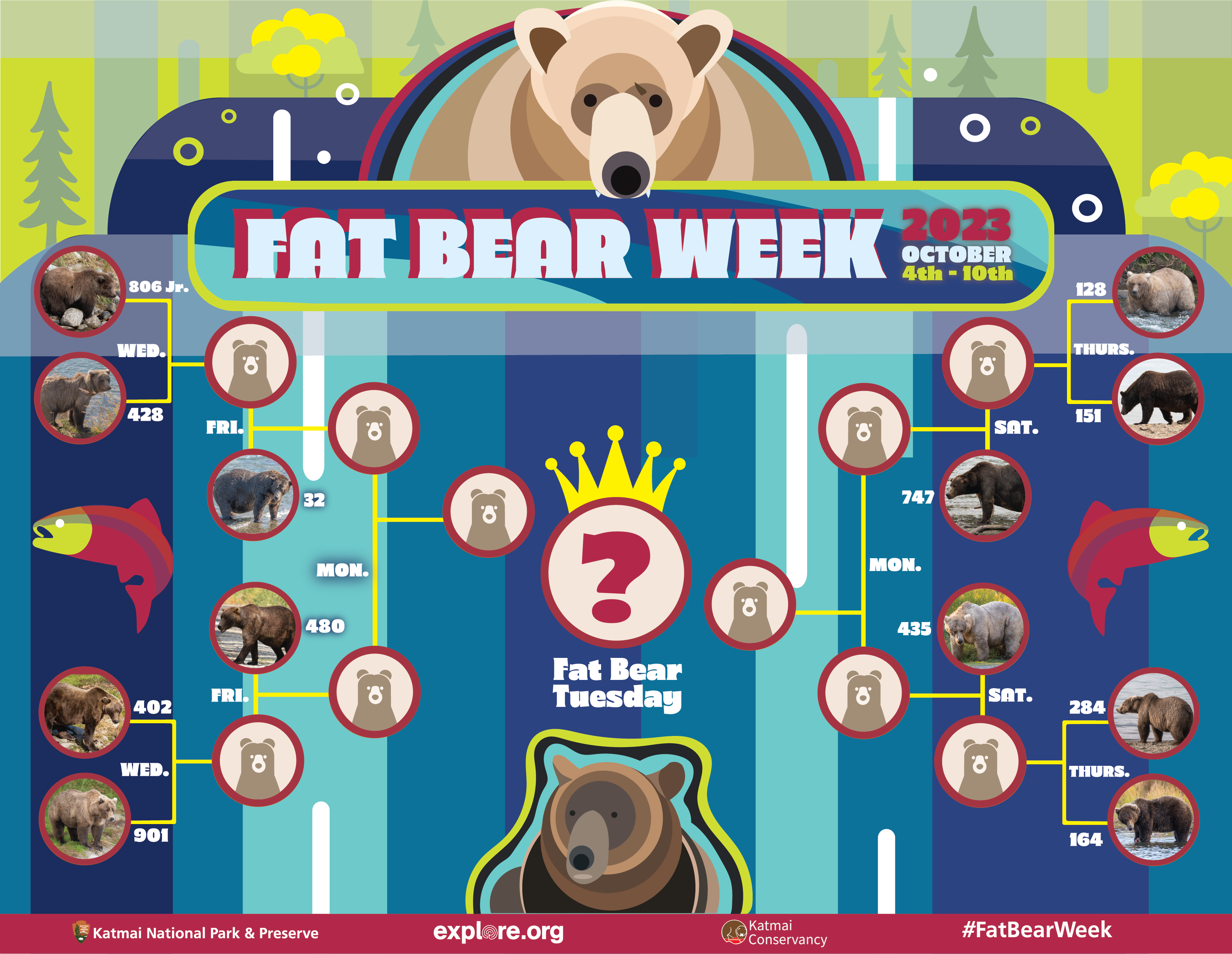 Chonky and they know it: Voting starts in Fat Bear Week – WABE