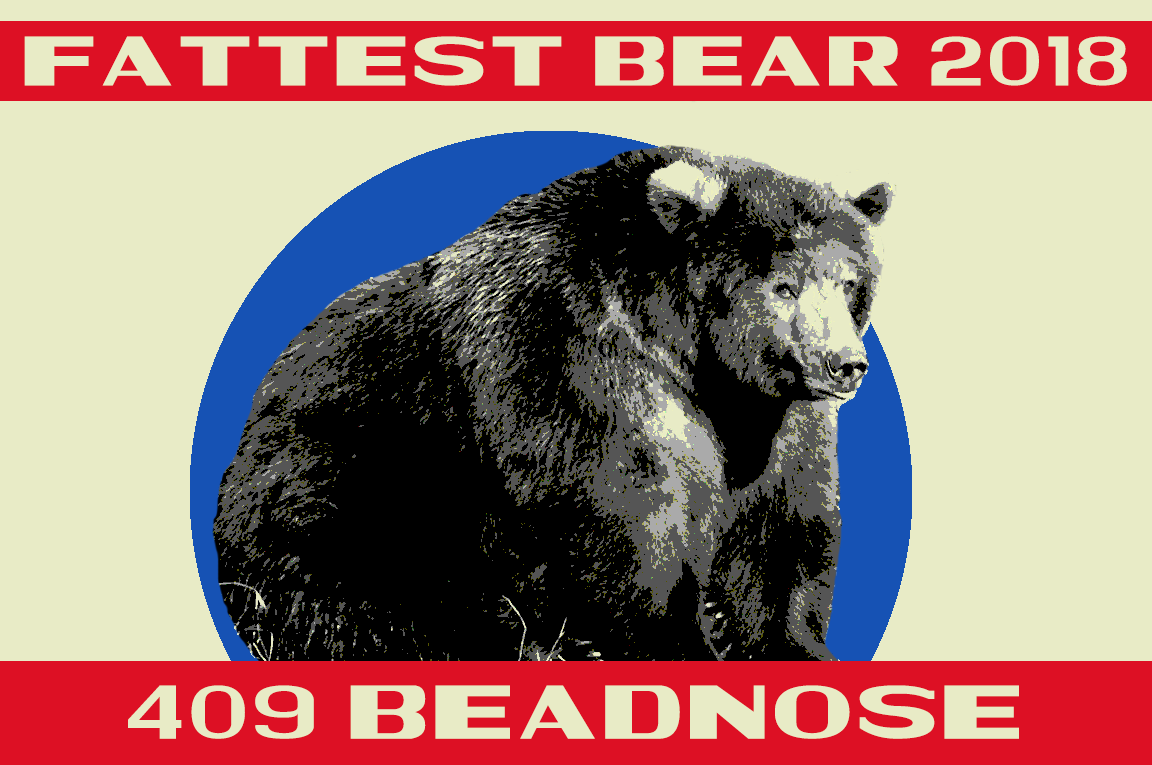 "Fattest Bear 2018. 409 Beadnose"