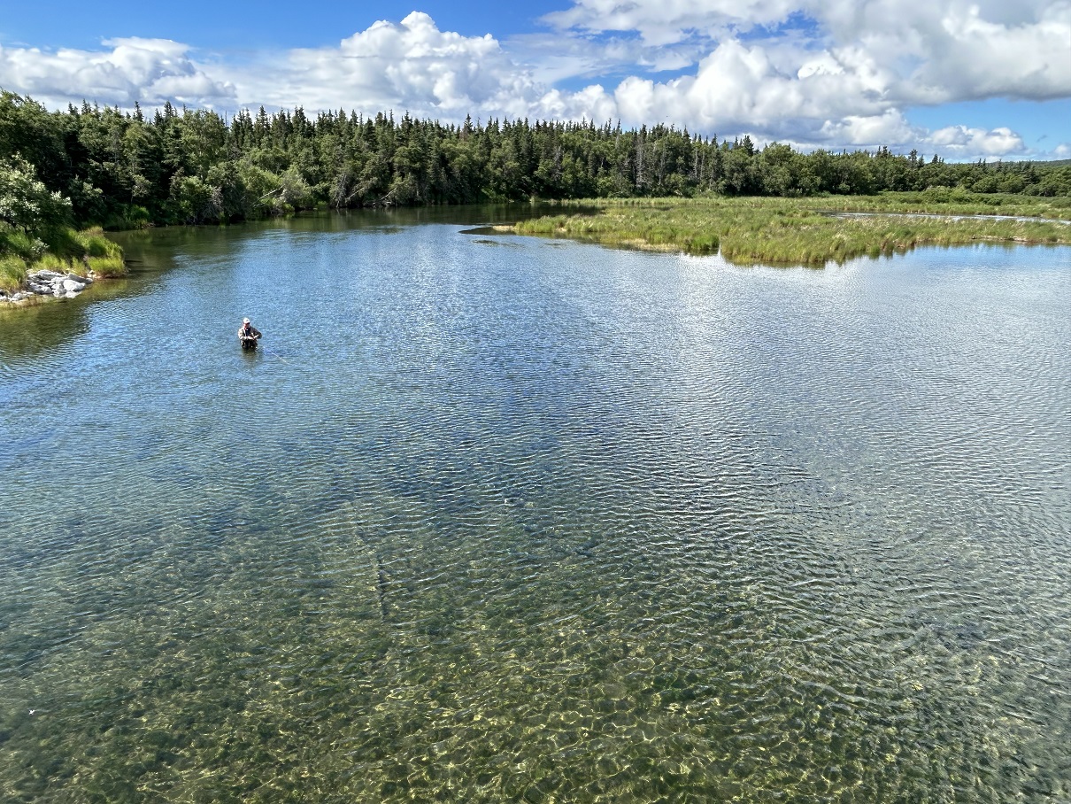 Angler in Katmai on the lower Brooks River