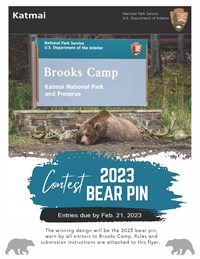 Pin on Camp 2023