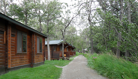 Bearskin Lodge Webcam