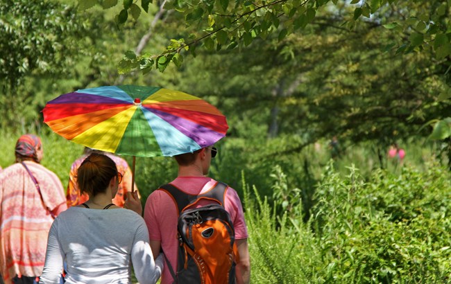 Several visitors walk around the ponds of Kenilworth