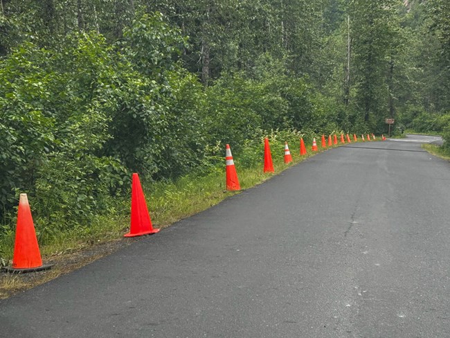 Orange cones line the side of a road.
